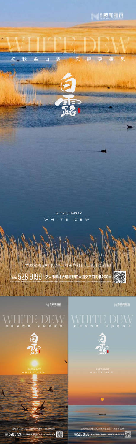 源文件下载【享设计】搜索编号：66520032848271435【白露节气系列海报】