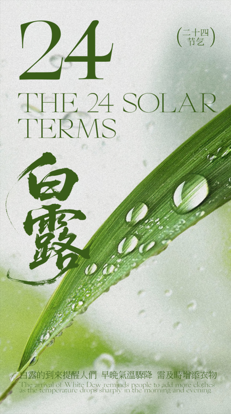 源文件下載【享設計】搜索編號：20060032891386936【綠色現代主義二十四節氣白露海報】