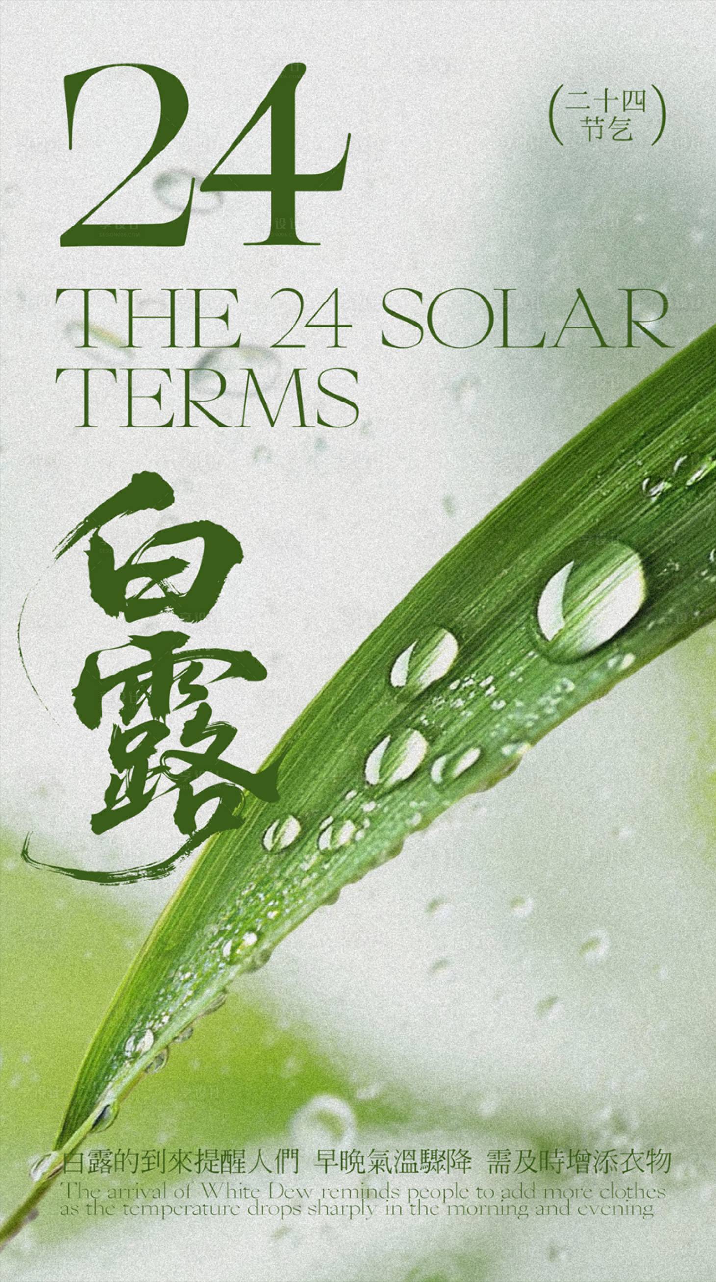 源文件下載【享設計】搜索編號：20060032891386936【綠色現代主義二十四節氣白露海報】