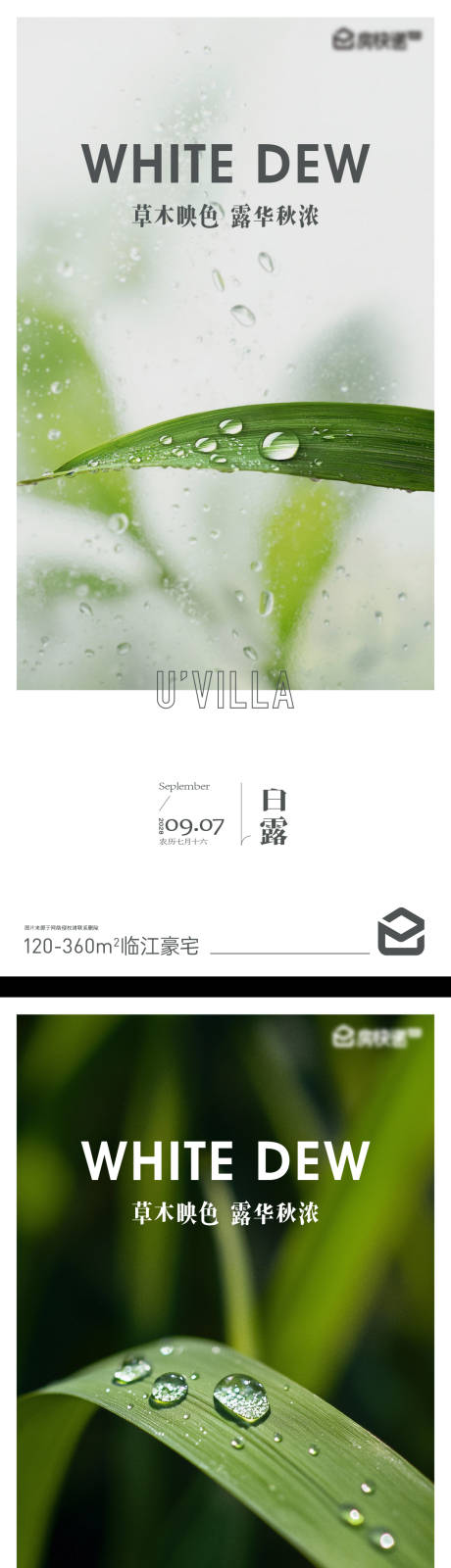 源文件下載【享設計】搜索編號：19700032905969649【白露海報】