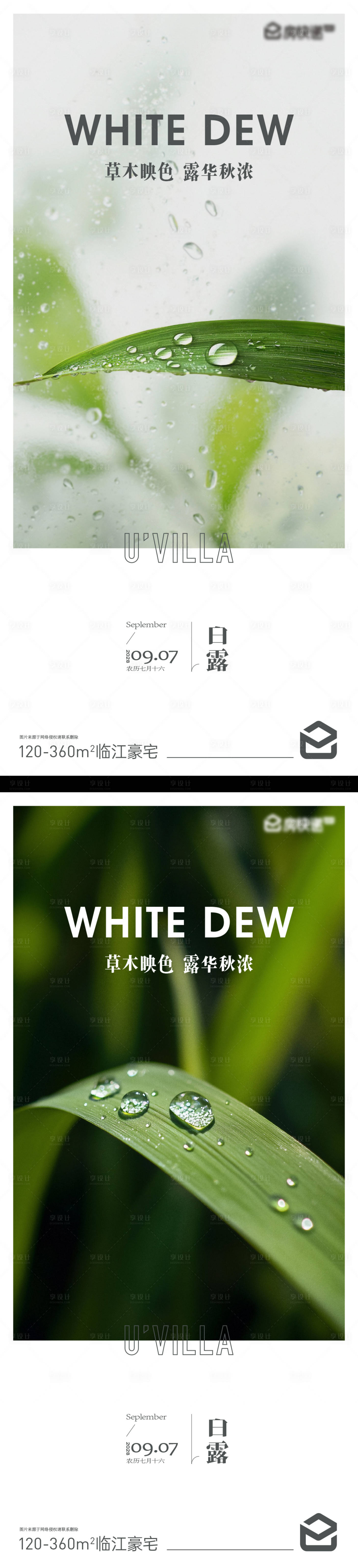 源文件下载【享设计】搜索编号：19700032905969649【白露海报】