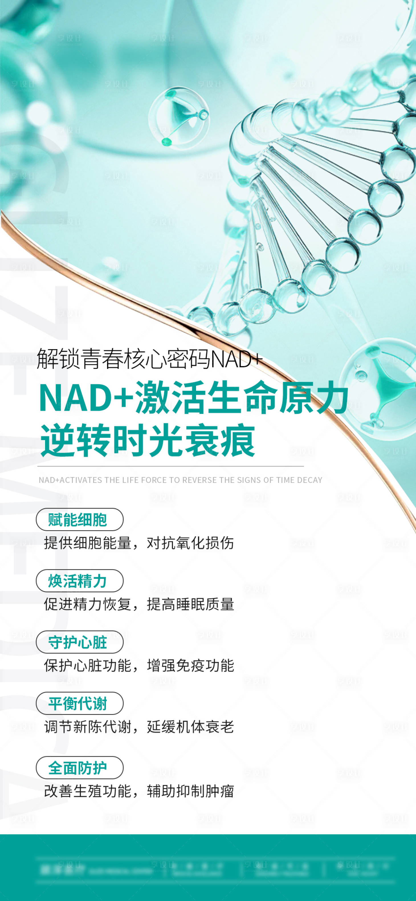 源文件下载【享设计】搜索编号：21160032841916877【 NAD激活生命原力】