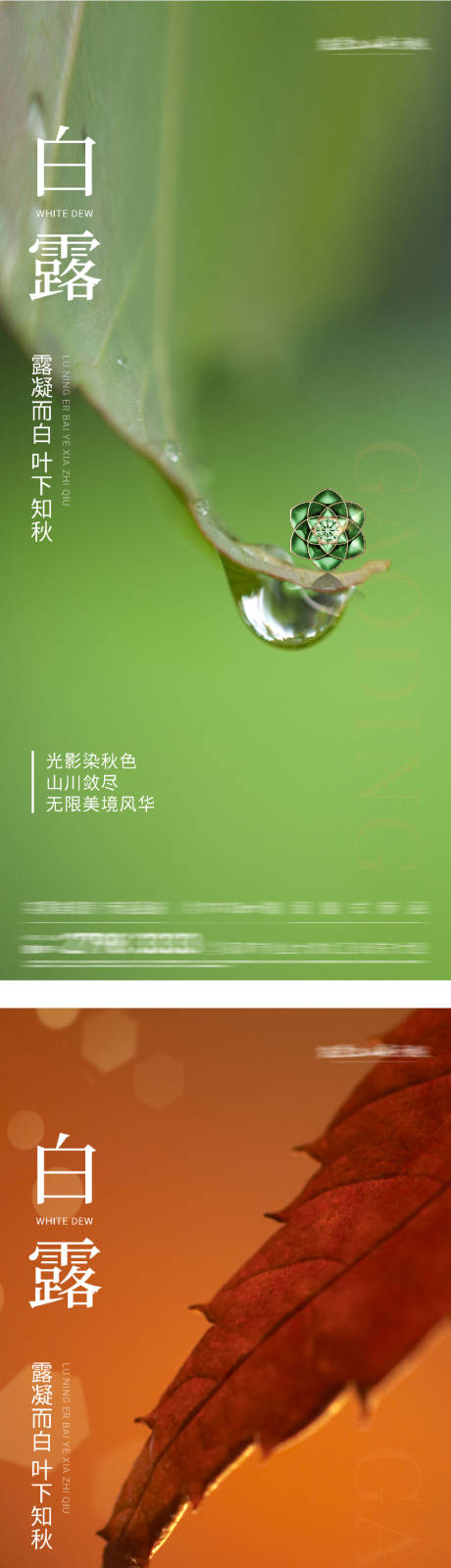 源文件下载【享设计】搜索编号：84290032845868996【白露实景节气海报】