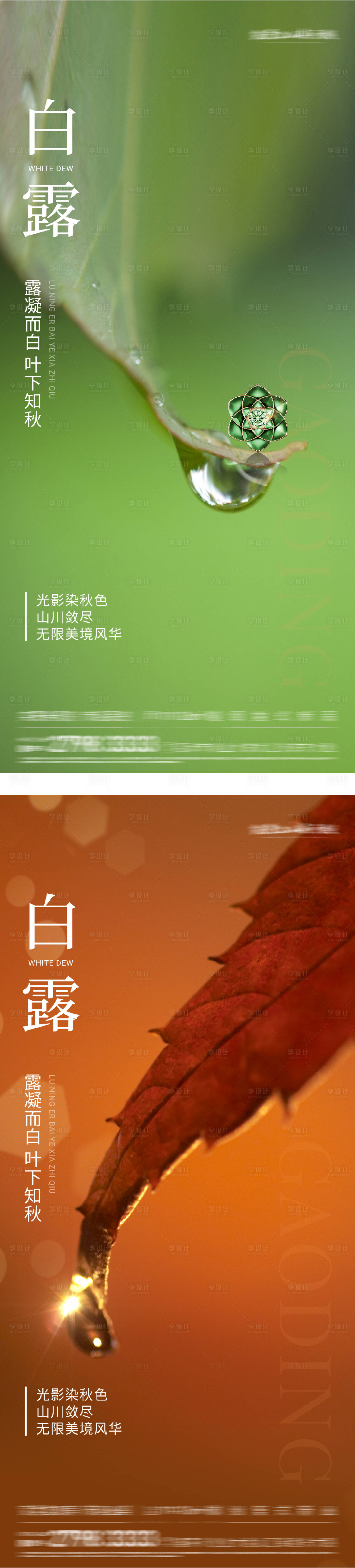 源文件下载【享设计】搜索编号：84290032845868996【白露实景节气海报】
