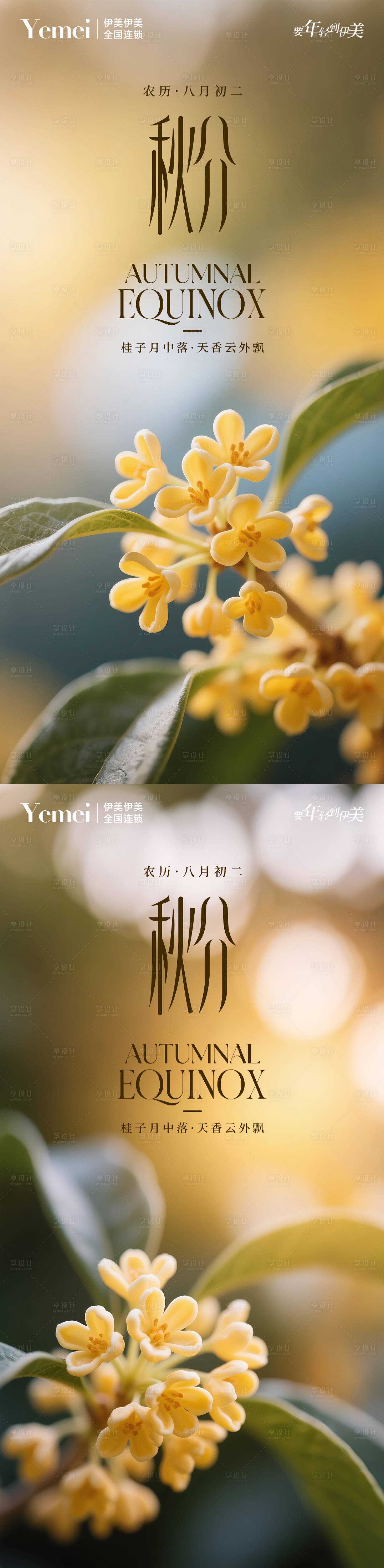 源文件下載【享設計】搜索編號：95590033000922669【秋分節氣系列海報】