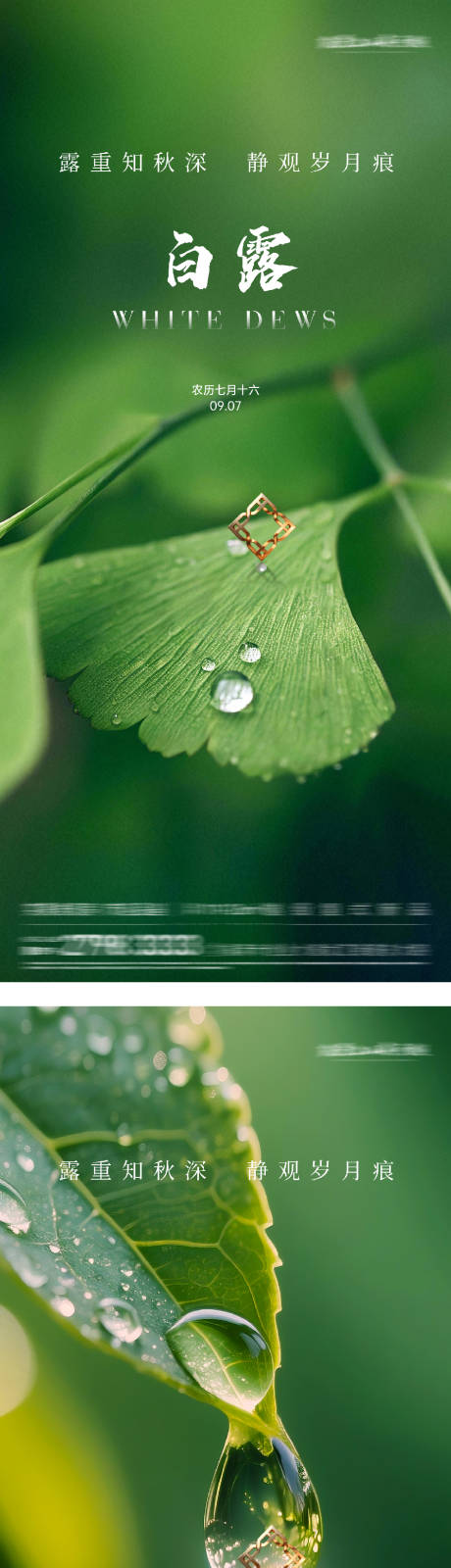 源文件下载【享设计】搜索编号：67720032907067983【白露系列海报】