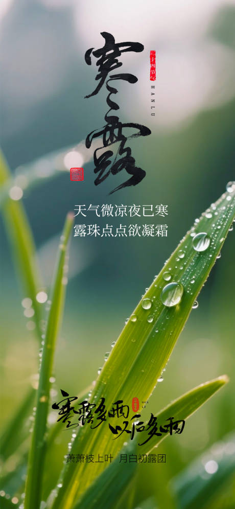 源文件下载【享设计】搜索编号：76960033296815885【寒露海报】
