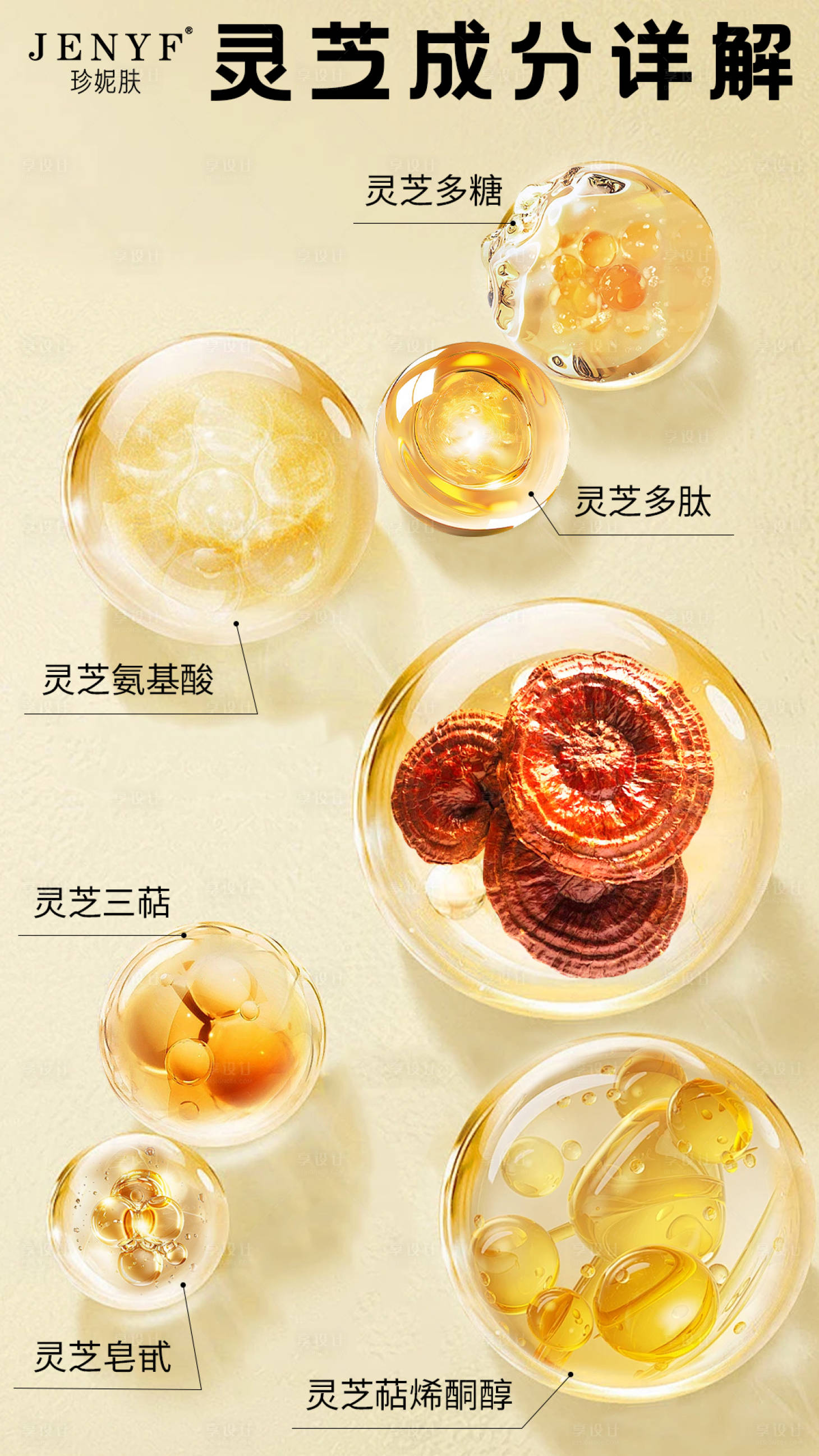 源文件下载【享设计】搜索编号：62220033177727880【产品成分宣传海报】