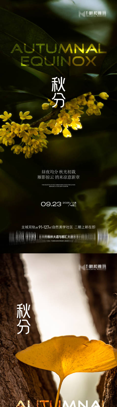 源文件下載【享設計】搜索編號：38190033062743080【秋分海報】