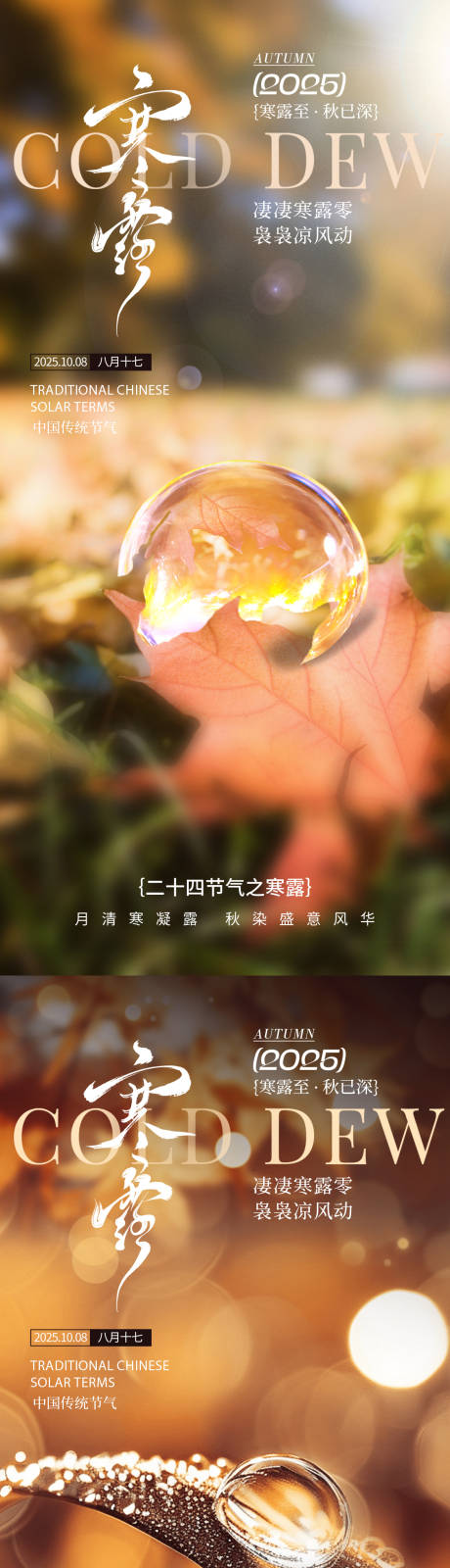 源文件下载【享设计】搜索编号：48640033255328999【寒露节气海报】