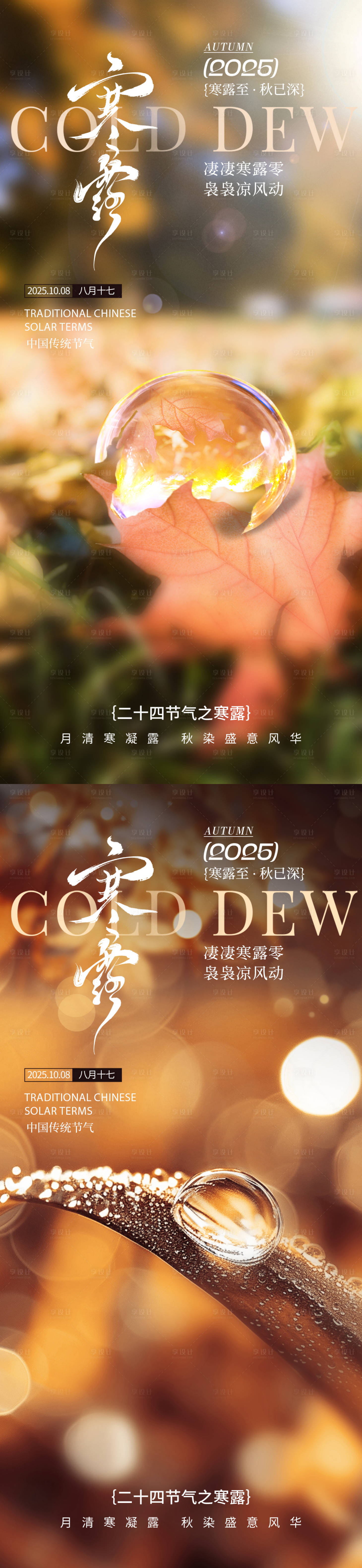 源文件下载【享设计】搜索编号：48640033255328999【寒露节气海报】