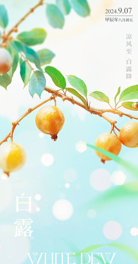 源文件下載【享設計】搜索編號：41260032850995618【白露節氣海報】