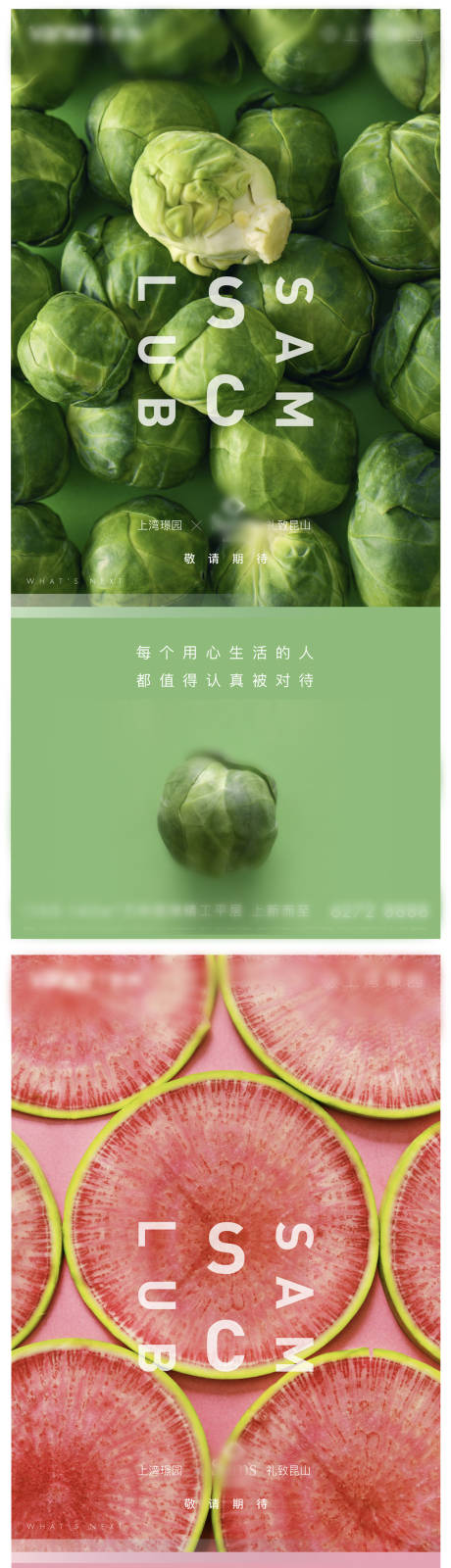 源文件下载【享设计】搜索编号：49420033105676311【蔬果活动系列】