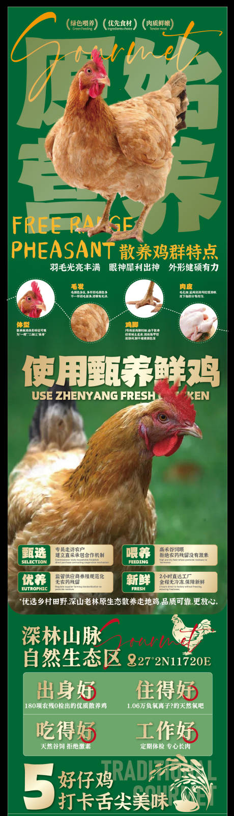 源文件下載【享設計】搜索編號：48520033133231582【贛南美食散養土雞海報】