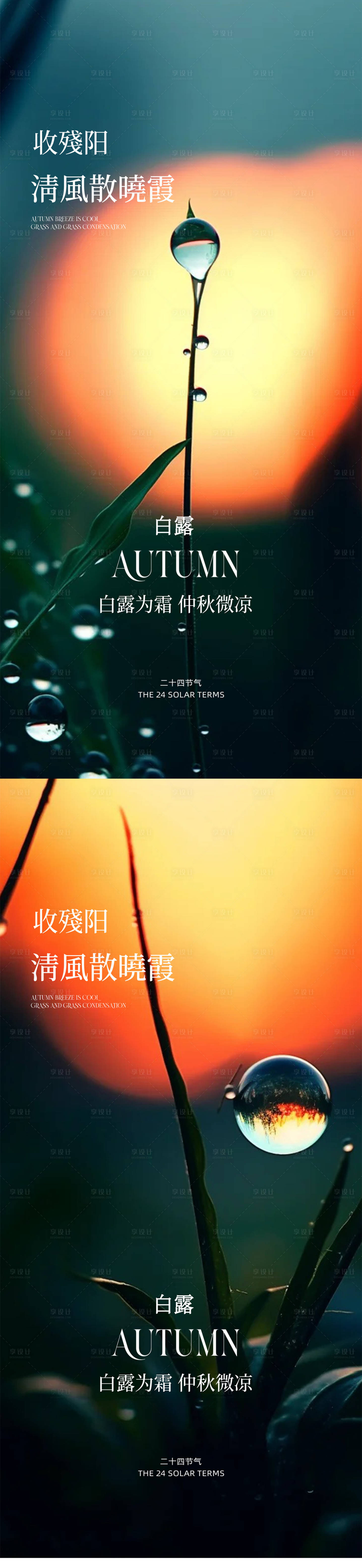 源文件下载【享设计】搜索编号：65040032839383752【白露】