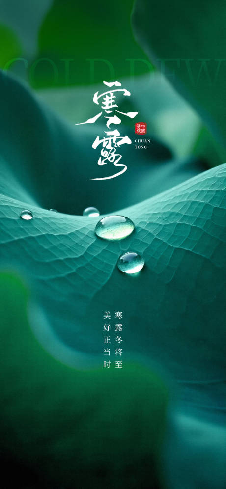 源文件下载【享设计】搜索编号：64160033225763300【寒露节气海报】