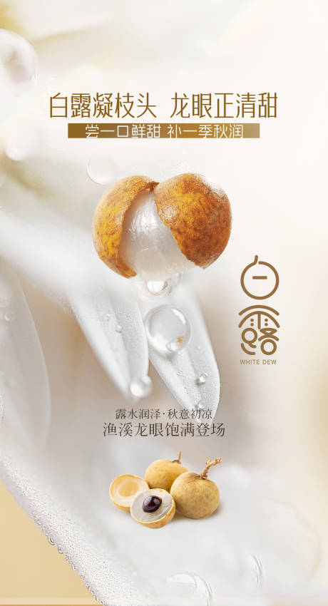 源文件下載【享設計】搜索編號：83740033070192254【龍眼白露海報】