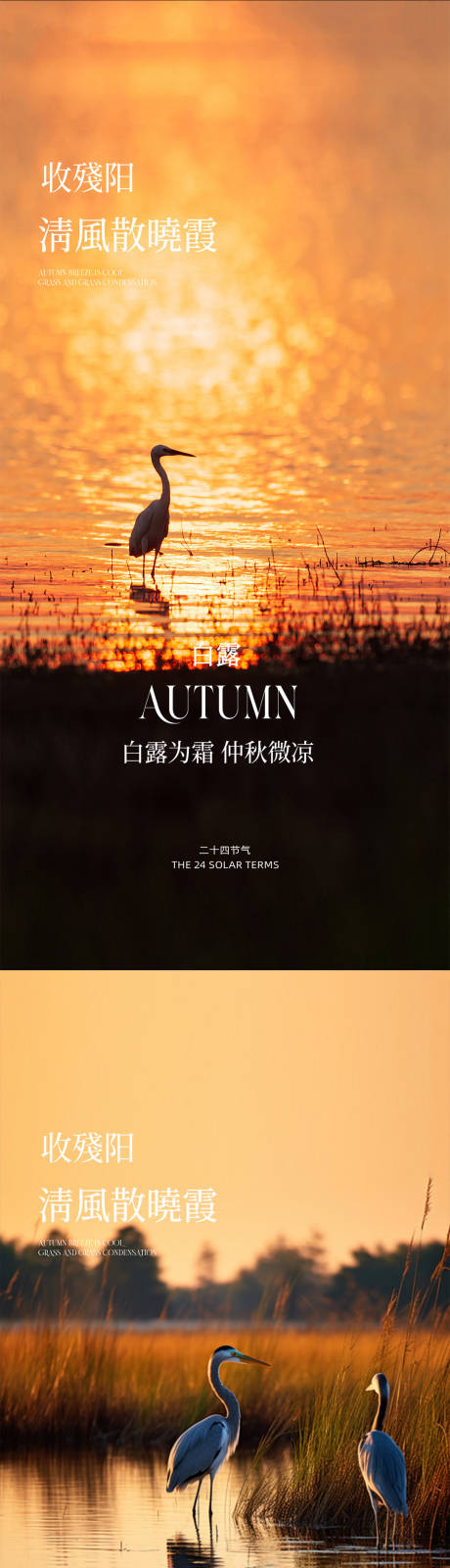 源文件下载【享设计】搜索编号：96400032839442093【白露】