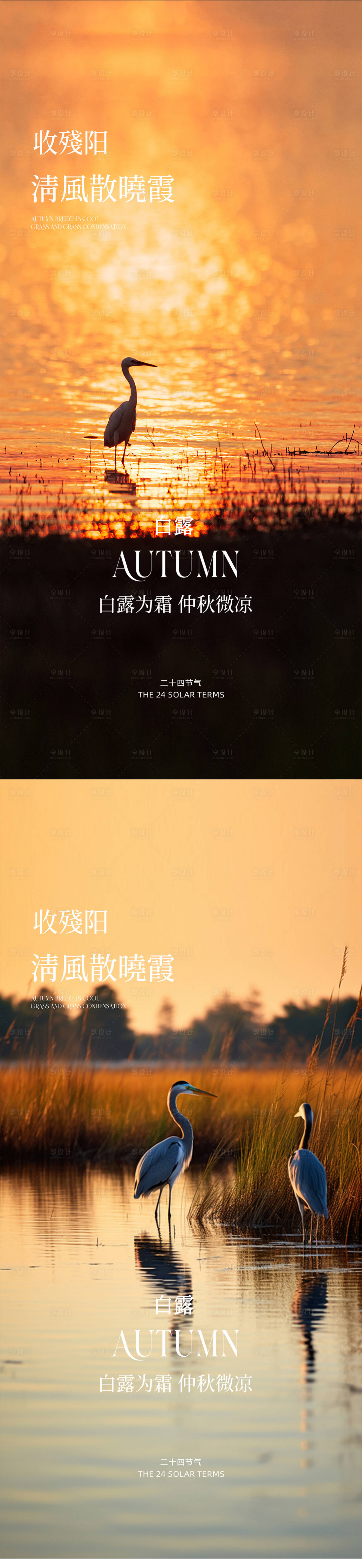 源文件下载【享设计】搜索编号：96400032839442093【白露】