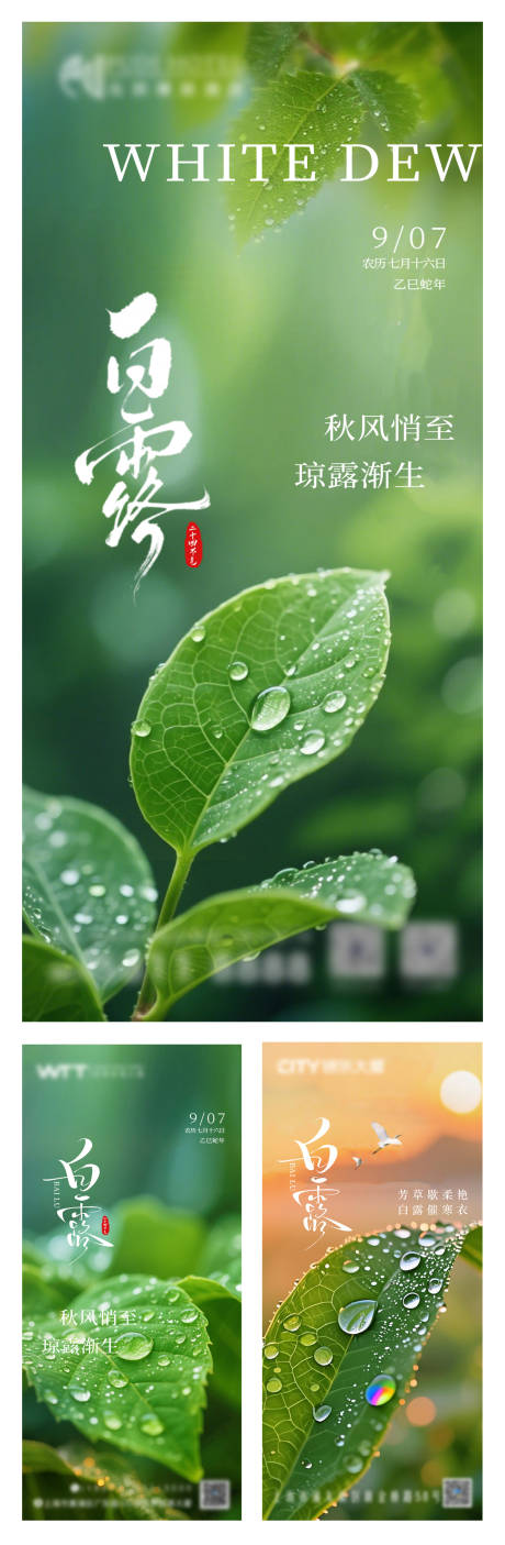源文件下載【享設計】搜索編號：65240033047014400【白露】