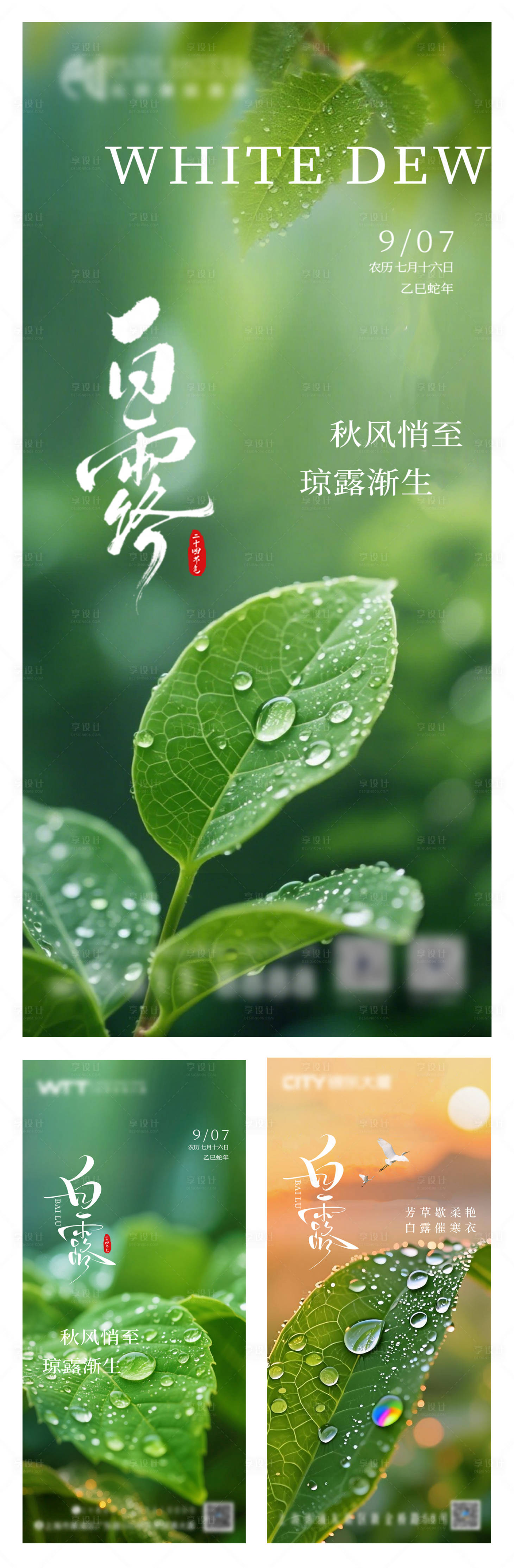 源文件下載【享設計】搜索編號：65240033047014400【白露】