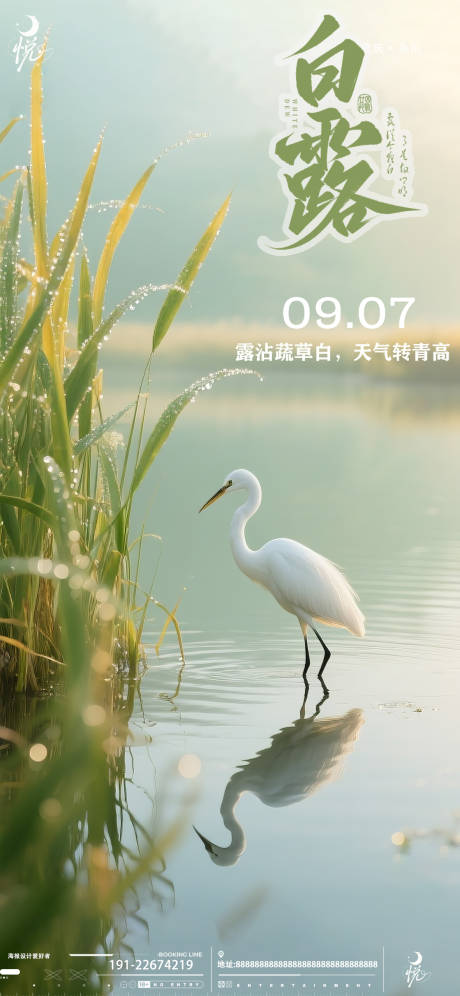 源文件下载【享设计】搜索编号：79830032887575971【白露节气海报】