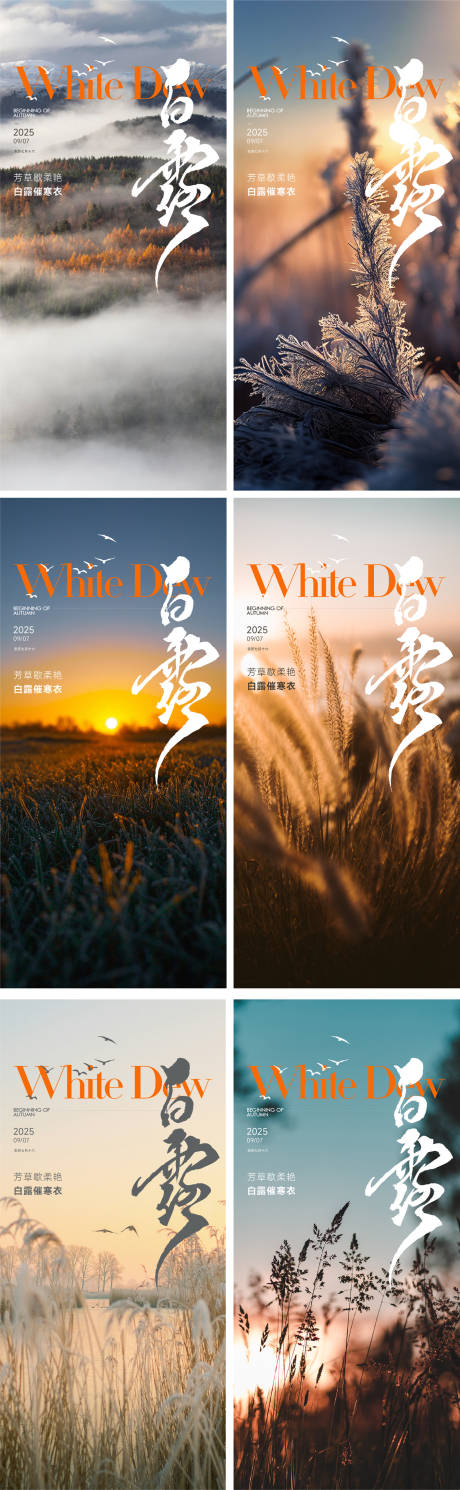 源文件下載【享設計】搜索編號：43070032865094559【白露節氣海報】