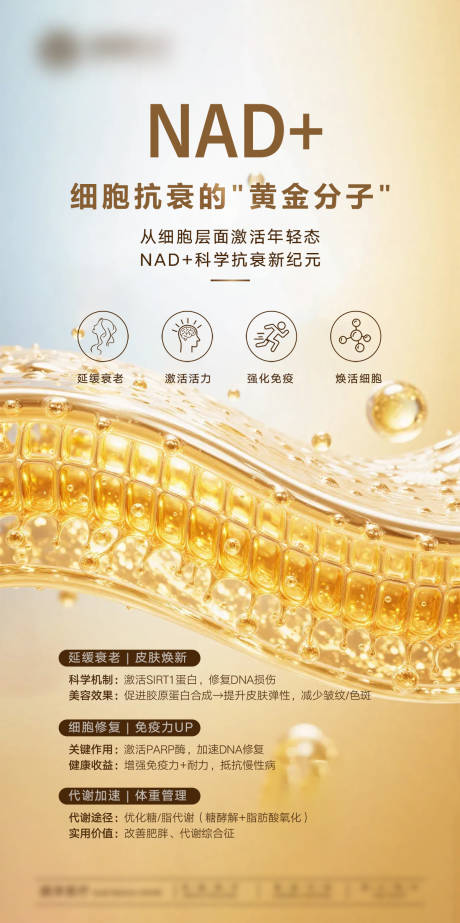 源文件下載【享設計】搜索編號：61360033016768176【NAD細胞抗衰的黃金分子海報】