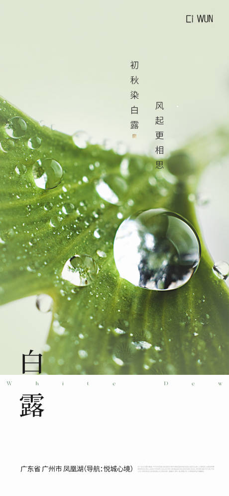 源文件下载【享设计】搜索编号：69340032890959865【白露节气海报】