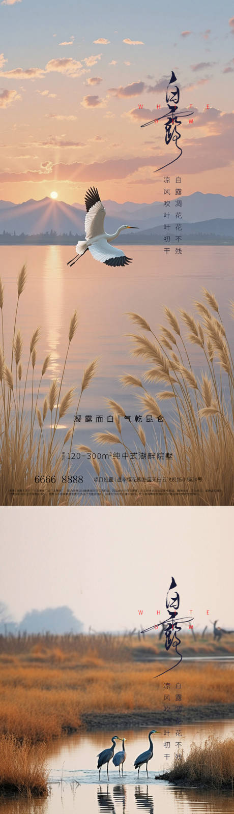 源文件下载【享设计】搜索编号：53900032839351698【白露】