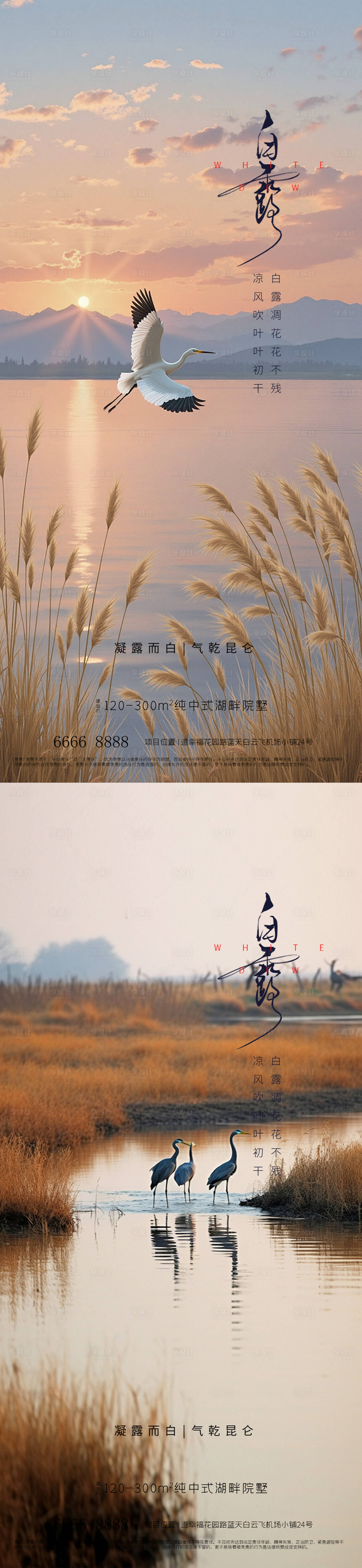 源文件下载【享设计】搜索编号：53900032839351698【白露】
