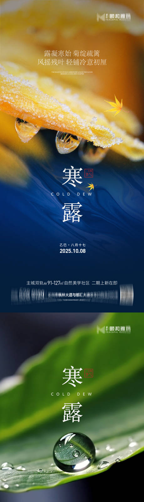 源文件下载【享设计】搜索编号：59780033291218246【寒露海报】