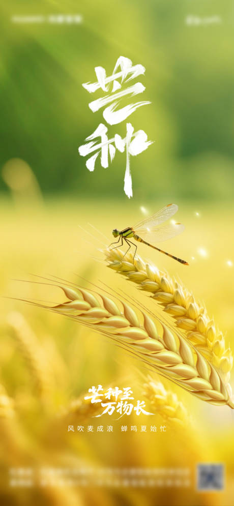 源文件下載【享設計】搜索編號：46020033150427701【芒種海報】