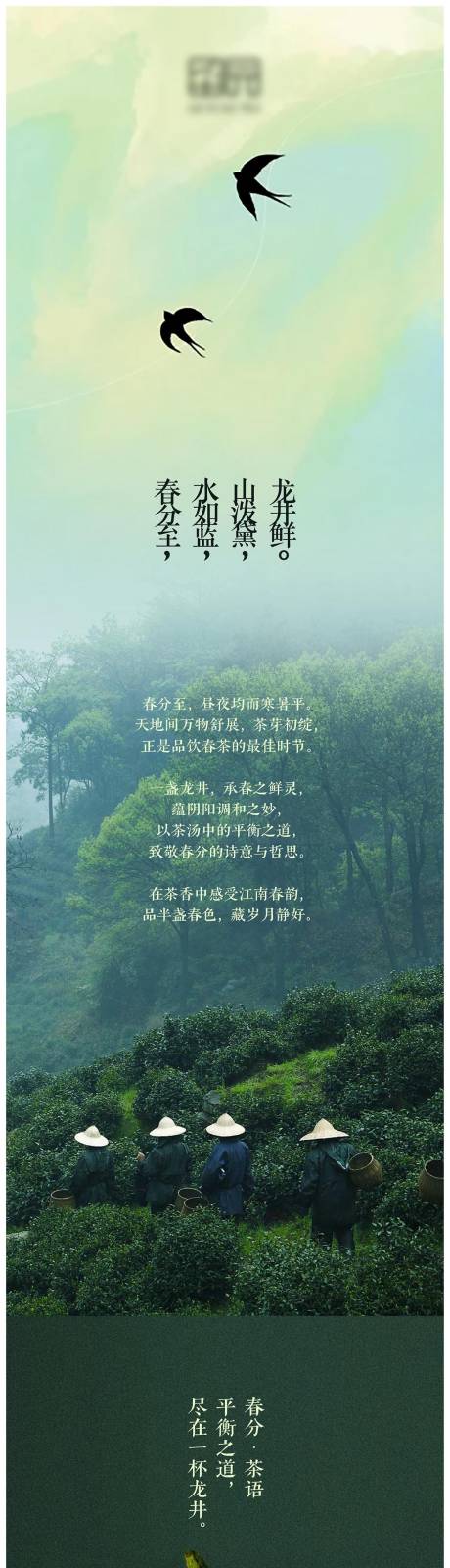 源文件下載【享設計】搜索編號：13470033043285828【龍井宣傳長圖海報】