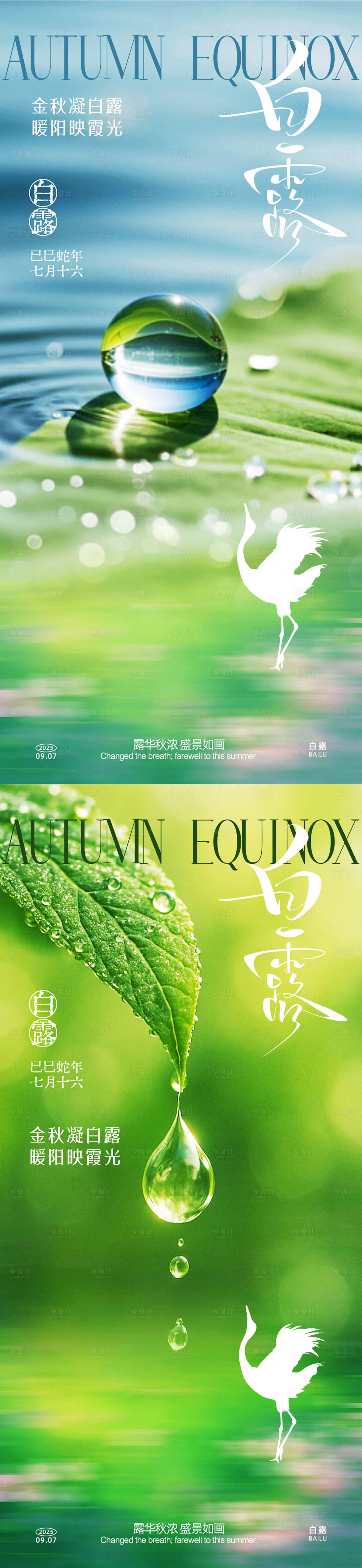 源文件下载【享设计】搜索编号：87150032847472074【白露实景系列海报】