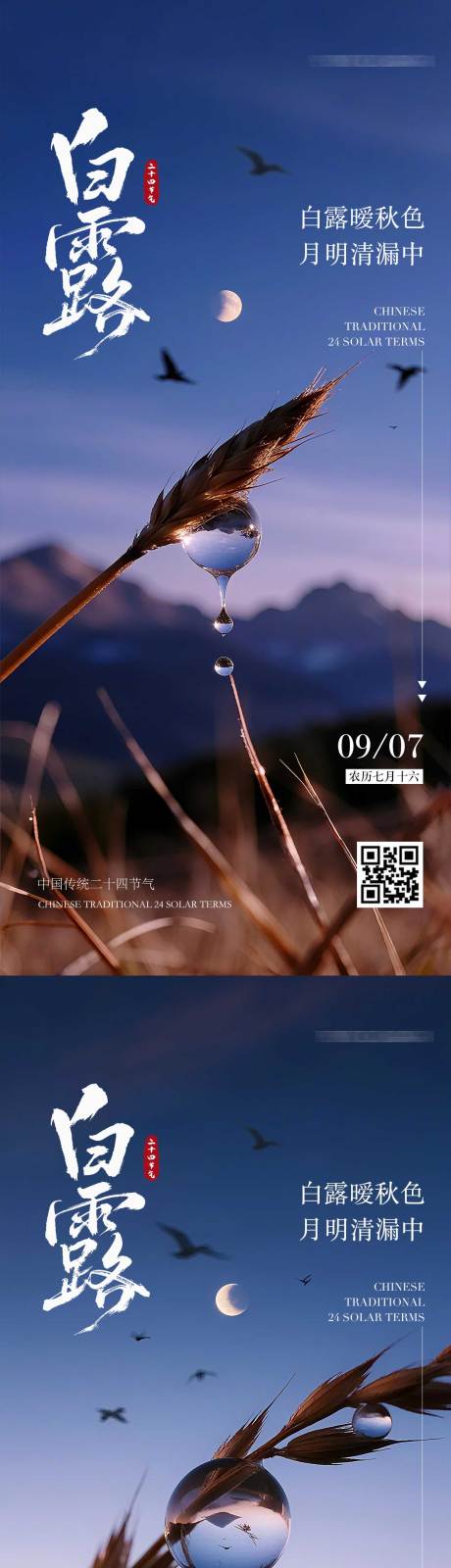 源文件下载【享设计】搜索编号：65840032823556984【白露寒露露珠摄影风节气海报】