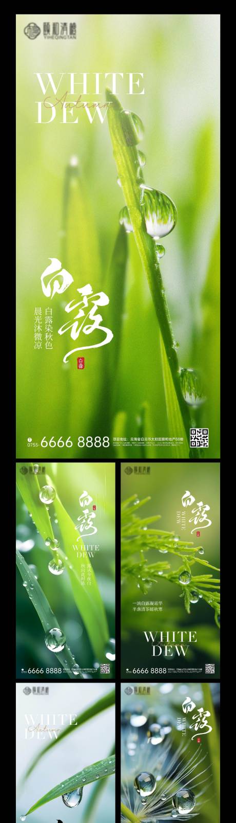 源文件下载【享设计】搜索编号：94160032864754844【白露海报】