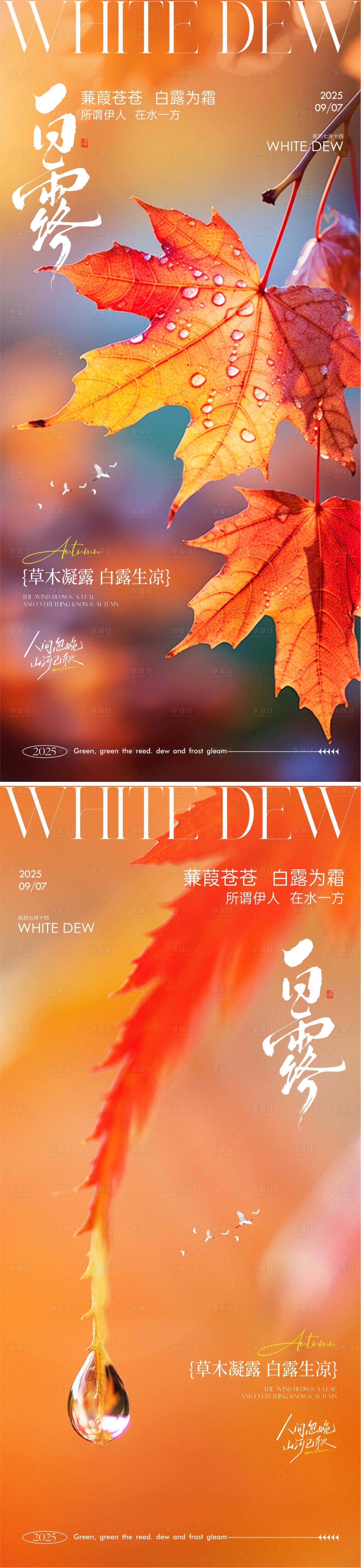 源文件下载【享设计】搜索编号：80780032848512892【白露节气系列海报】