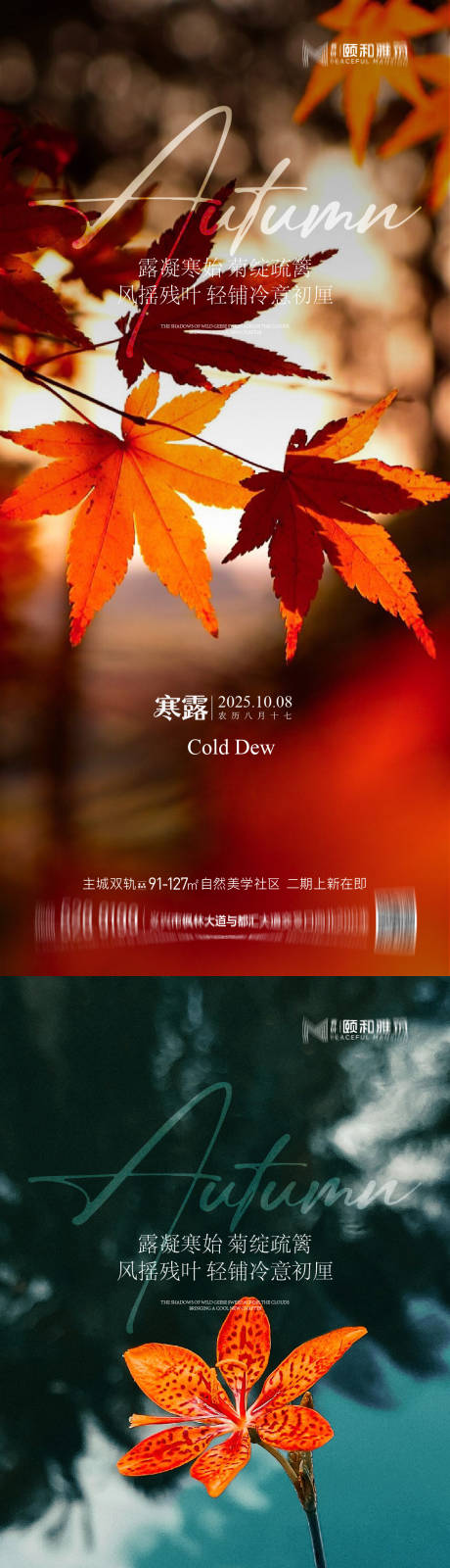 源文件下载【享设计】搜索编号：19560033286741171【2025寒露节日节气海报】