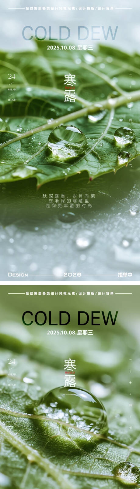 源文件下载【享设计】搜索编号：22470033355269714【寒露节气海报】