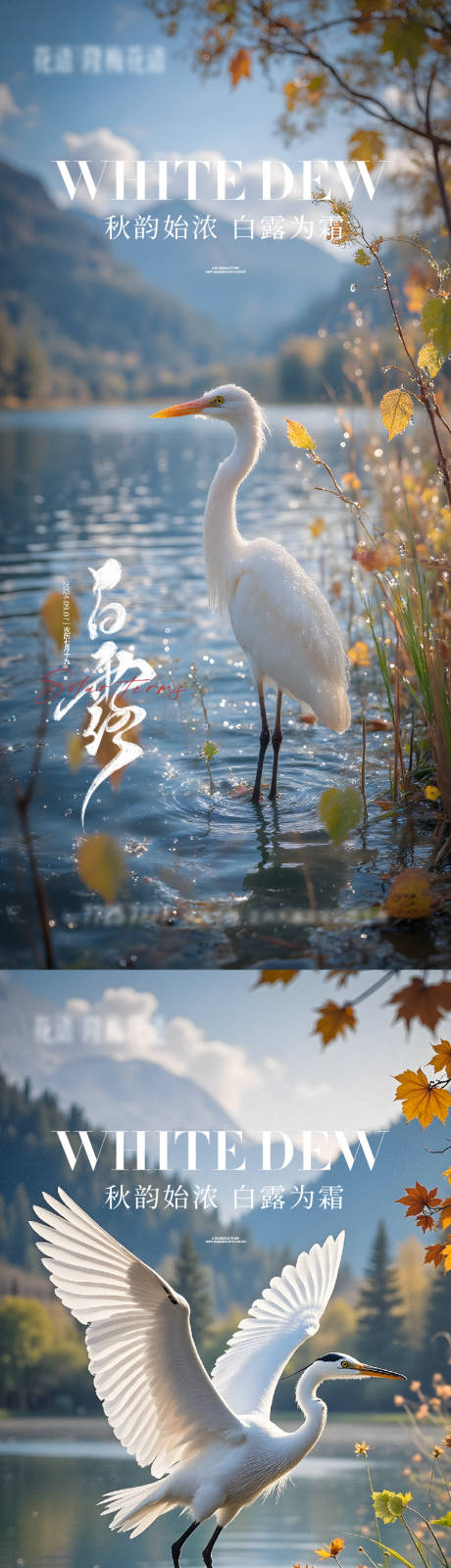 源文件下载【享设计】搜索编号：59160032909945307【白露海报】