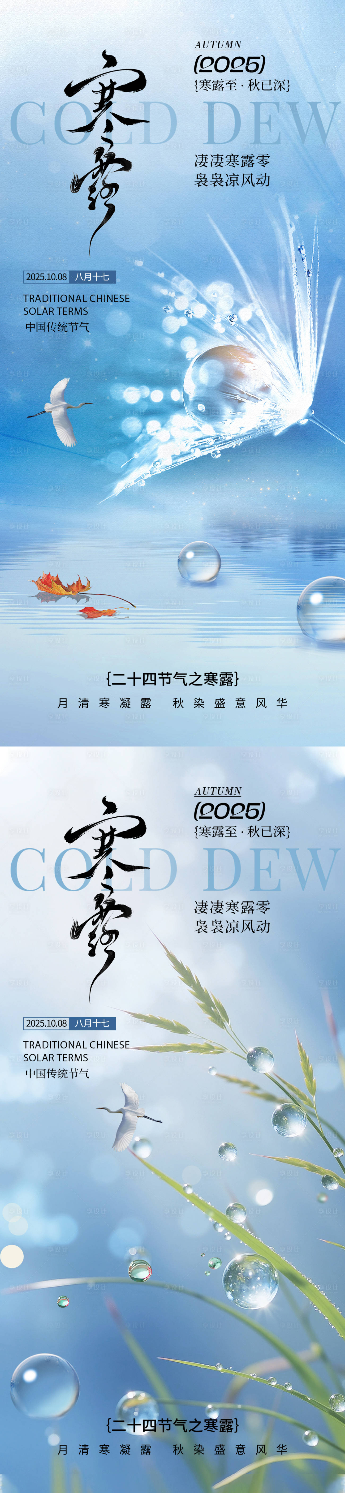 源文件下载【享设计】搜索编号：72500033219082578【寒露海报】