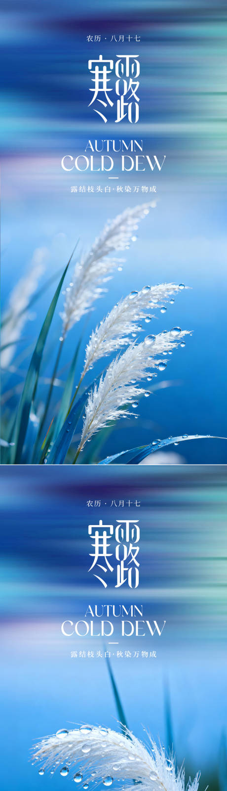 源文件下载【享设计】搜索编号：47050033156459167【寒露节气系列海报】