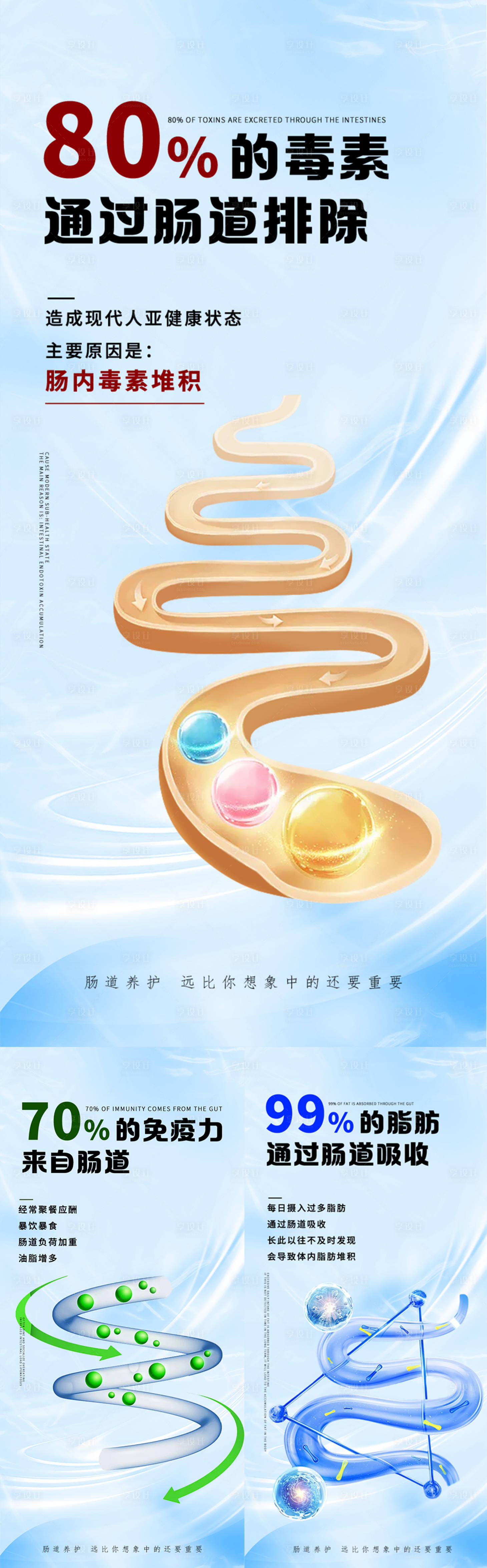 源文件下载【享设计】搜索编号：70110033676789519【肠道科普系列海报】