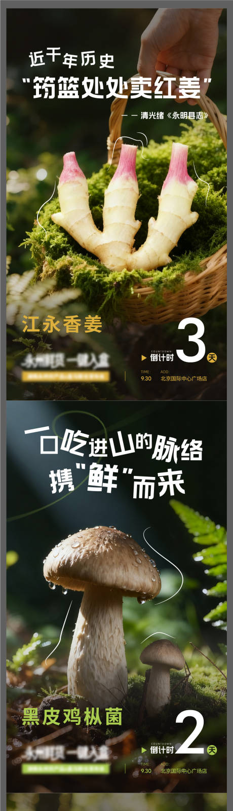 源文件下载【享设计】搜索编号：60080033571028405【农产品发布会倒计时系列海报】