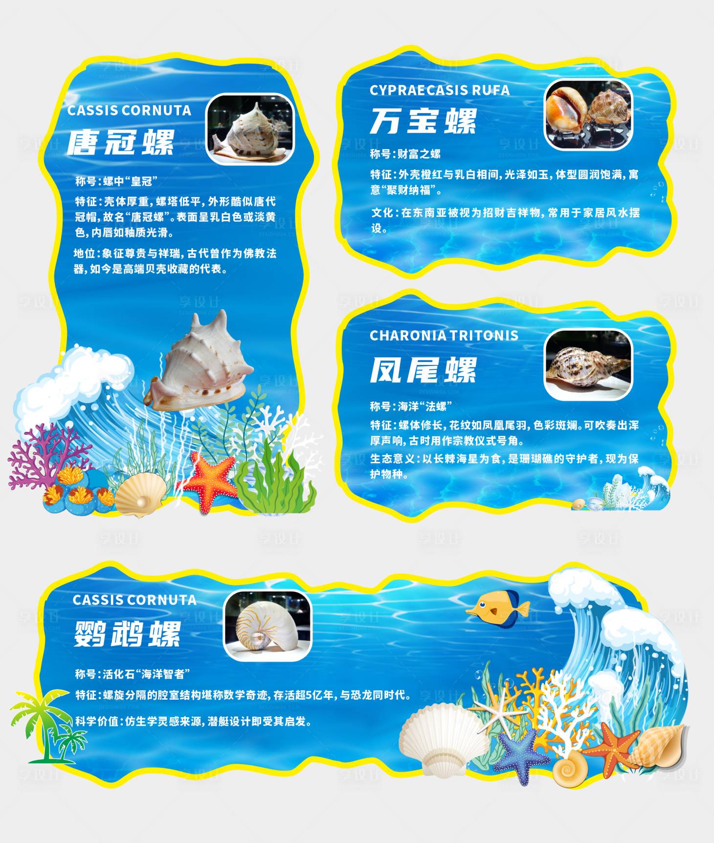 源文件下载【享设计】搜索编号：64420033641747199【海洋四大名螺图文知识】