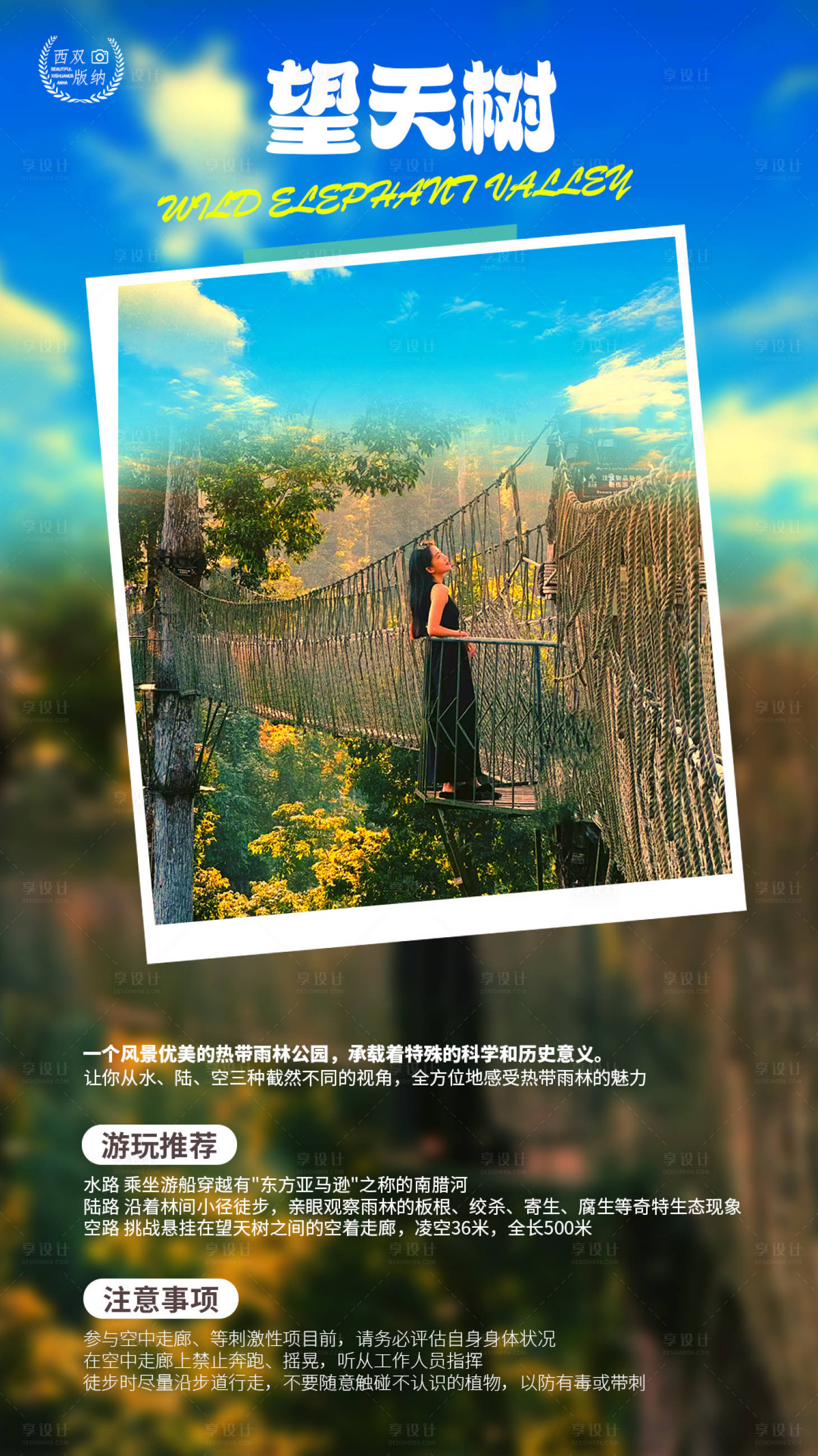 源文件下载【享设计】搜索编号：12830033687836356【西双版纳望天树游玩攻略海报】
