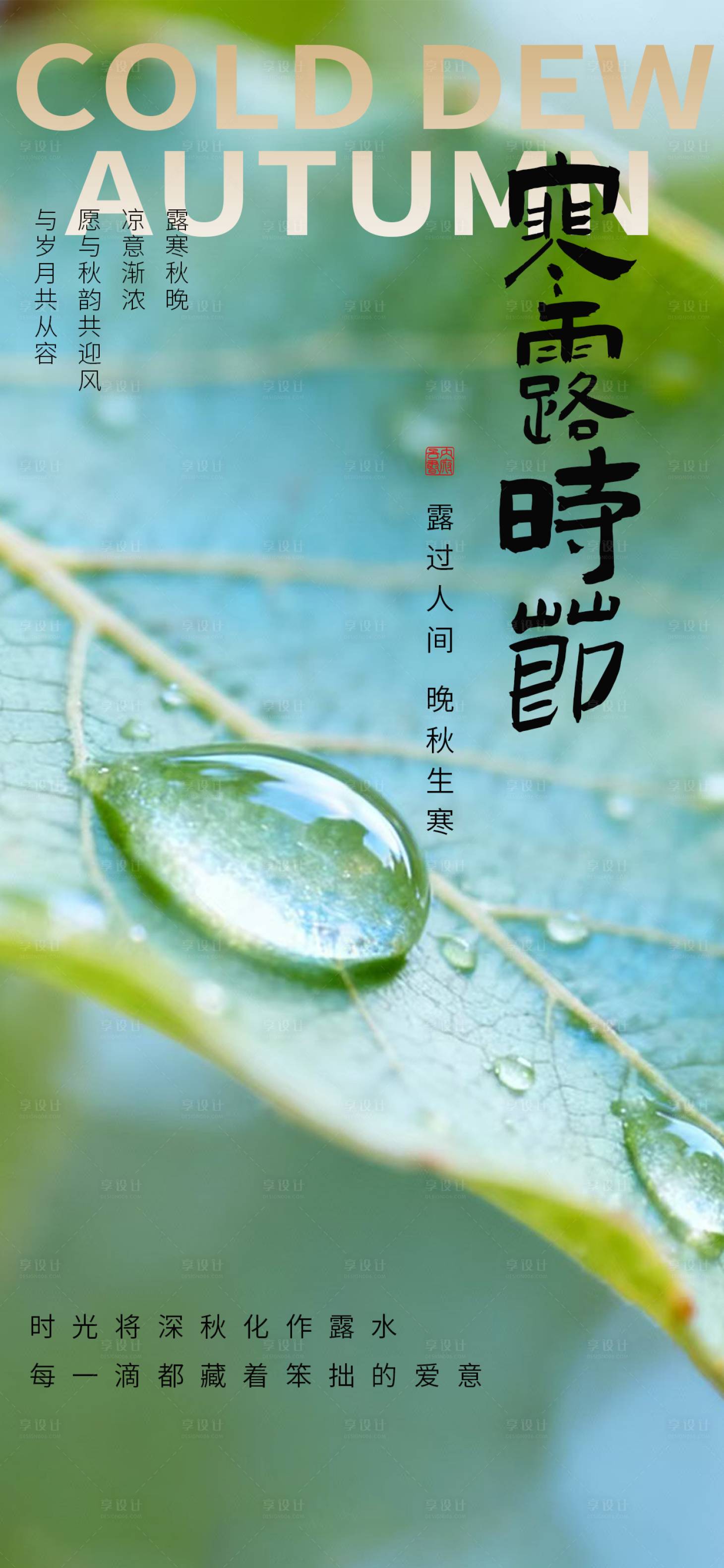 源文件下载【享设计】搜索编号：79960033389673724【寒露海报二十四节气海报秋天海报】
