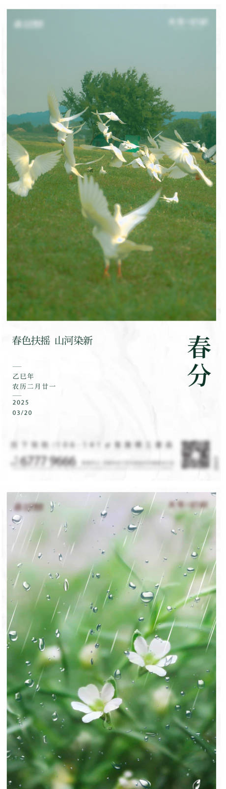 源文件下载【享设计】搜索编号：10440033809249867【春分节气单图】