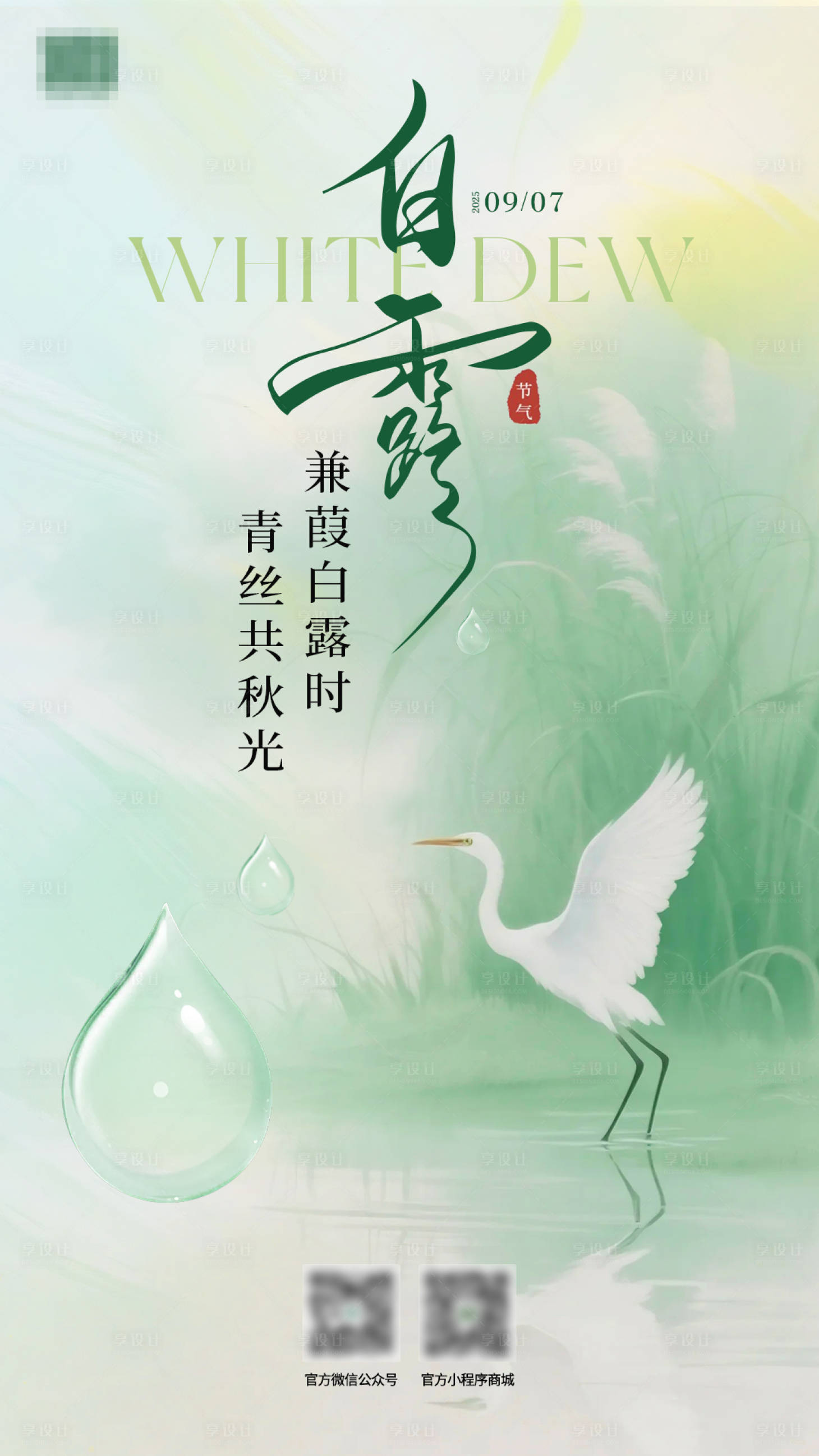 源文件下载【享设计】搜索编号：72910033683241183【白露海报】